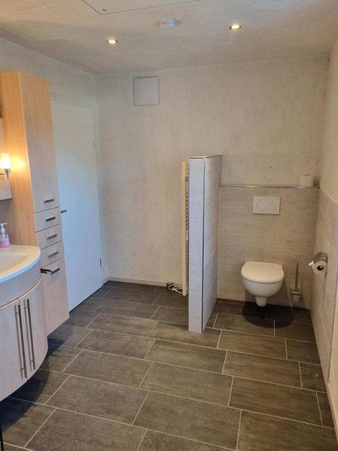 Appartements Kalswirt Κίρχμπεργκ ιν Τιρόλ Εξωτερικό φωτογραφία